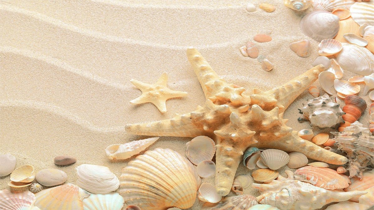 Обои на рабочий стол Морское дно