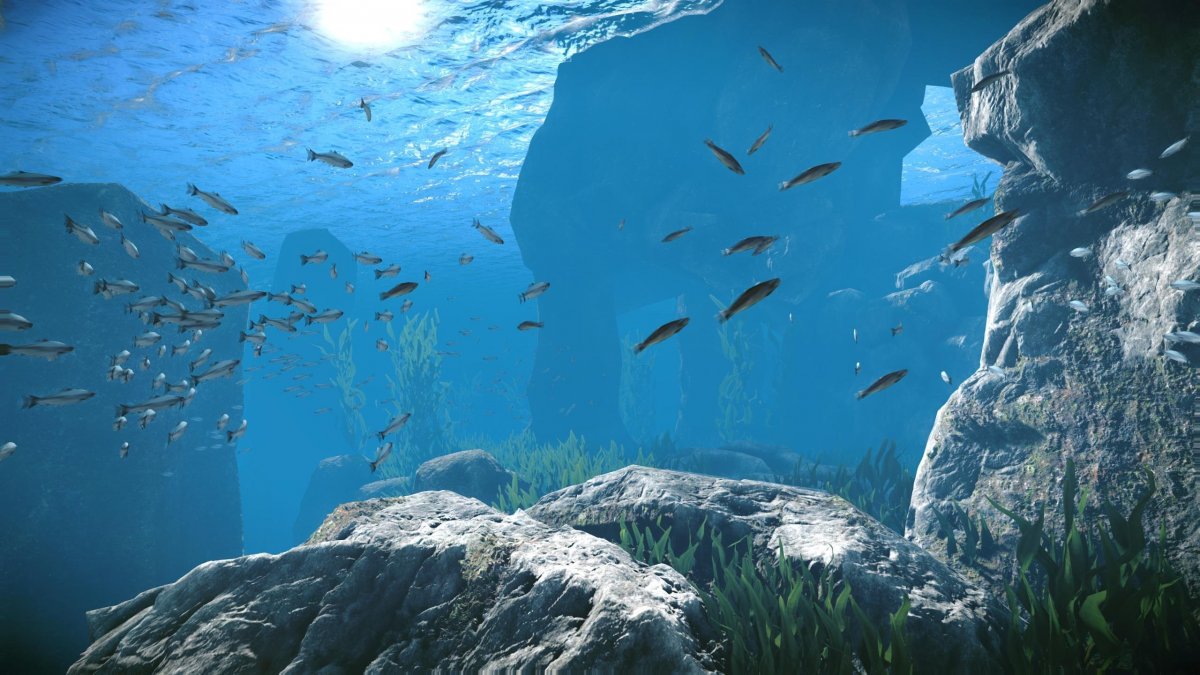 Подводный мир