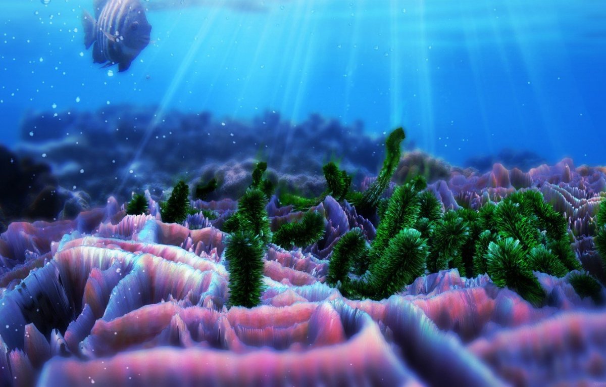 Природа под водой