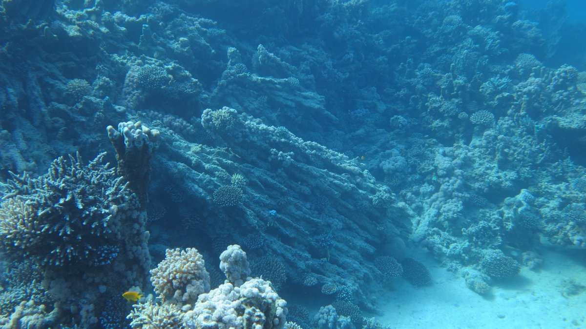 Подводный мир фон