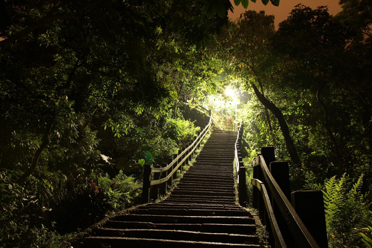 Лестница вверх