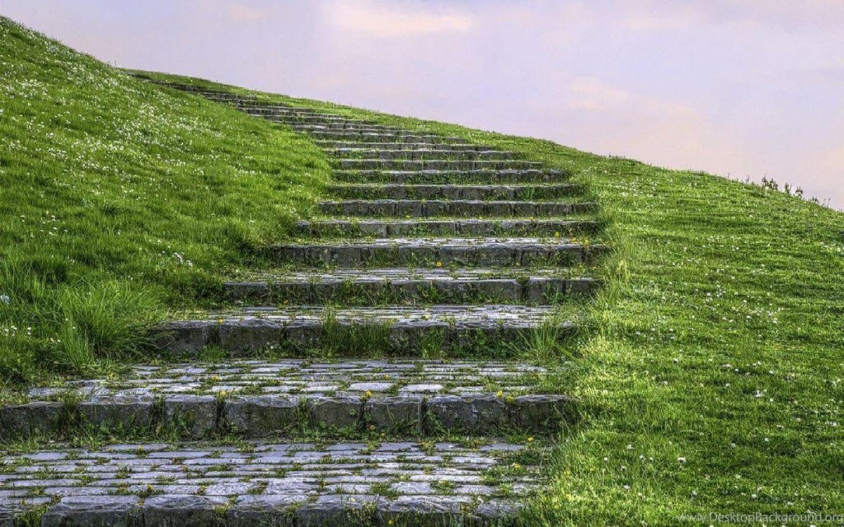 Лестница с травой