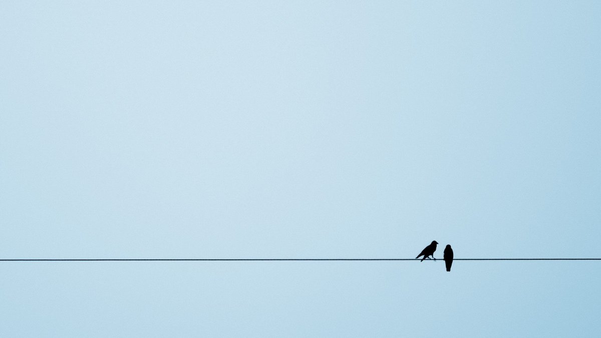 Фон Минимализм