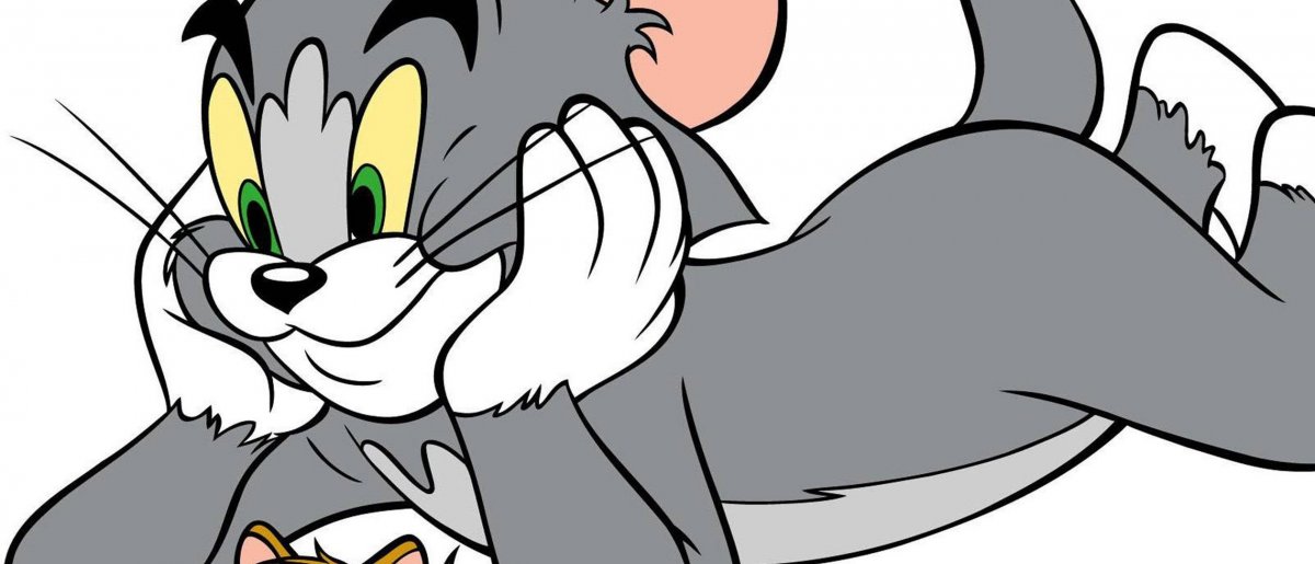 Спасибо за внимание том и Джерри