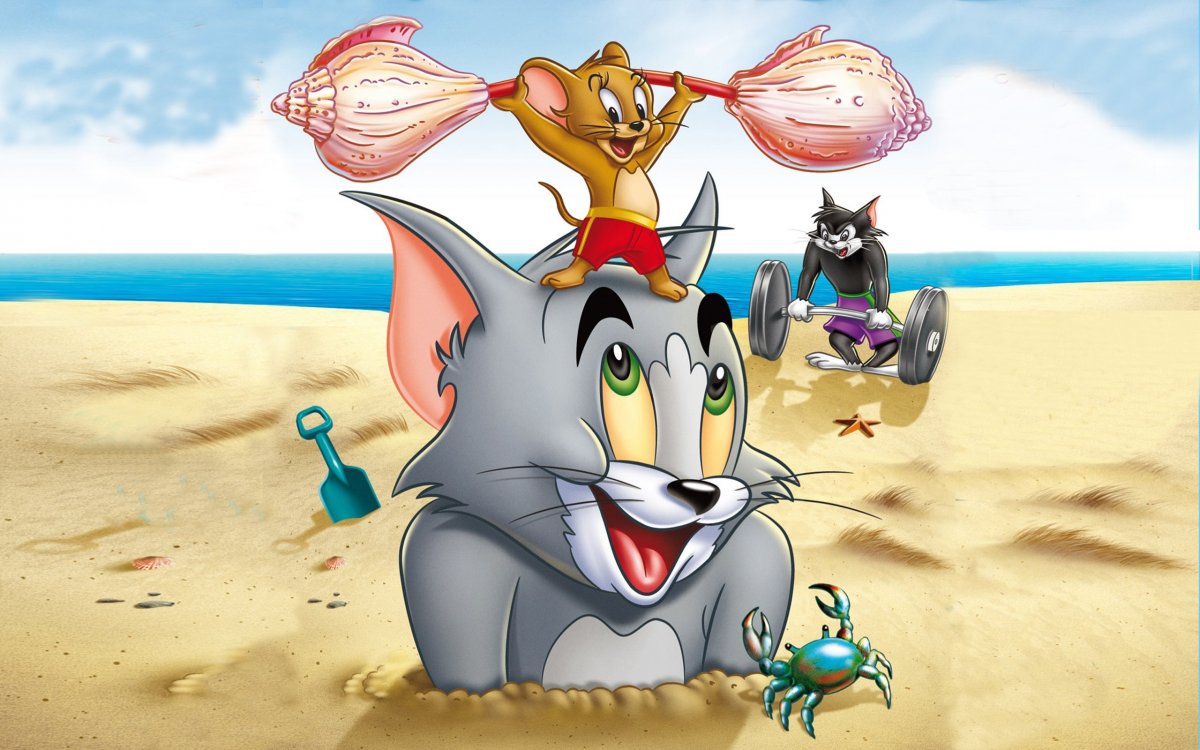Tom and Jerry cartoon