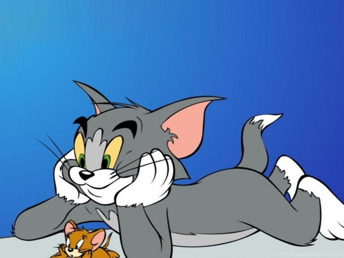 Tom Jerry multfilm