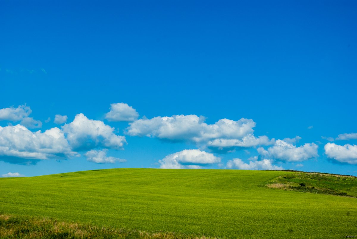 Зеленое поле и голубое небо