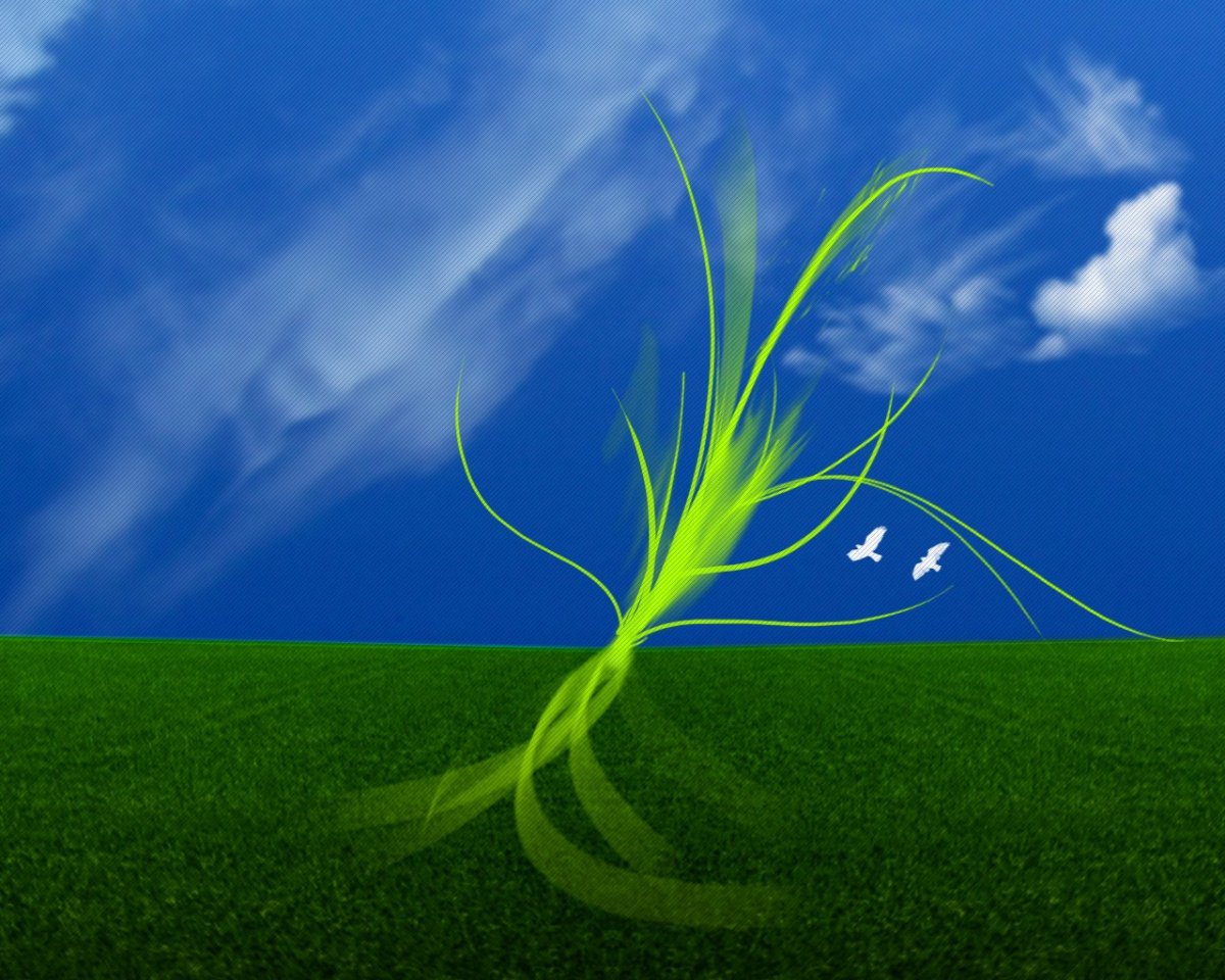 Природа виндовс