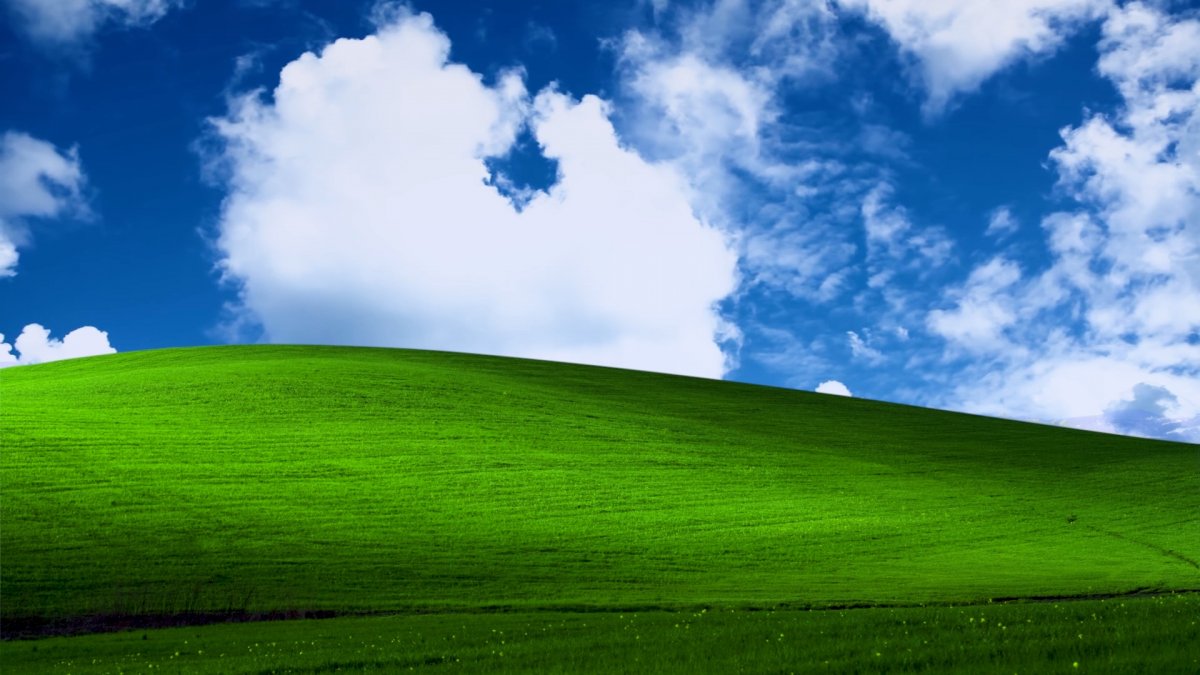 Поляна Windows XP
