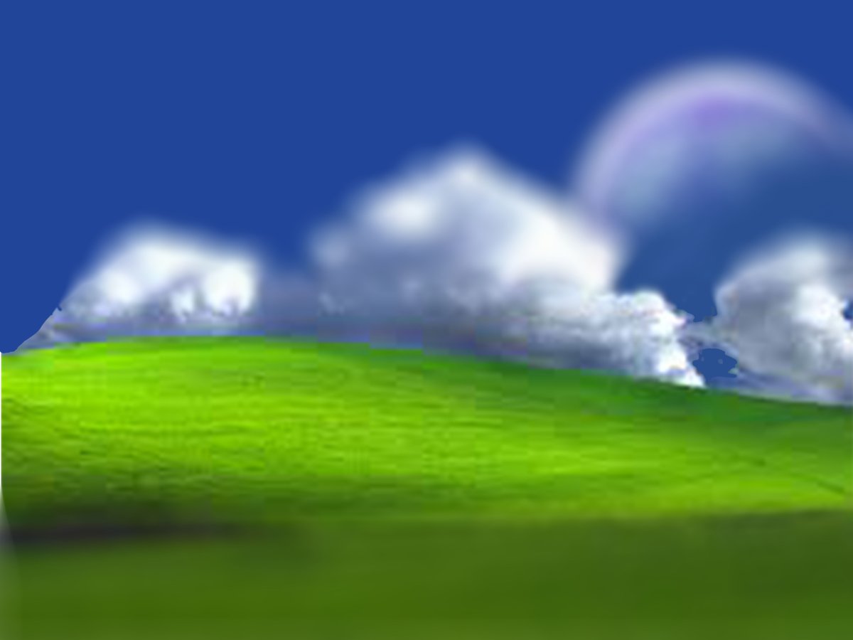 Поле Windows XP