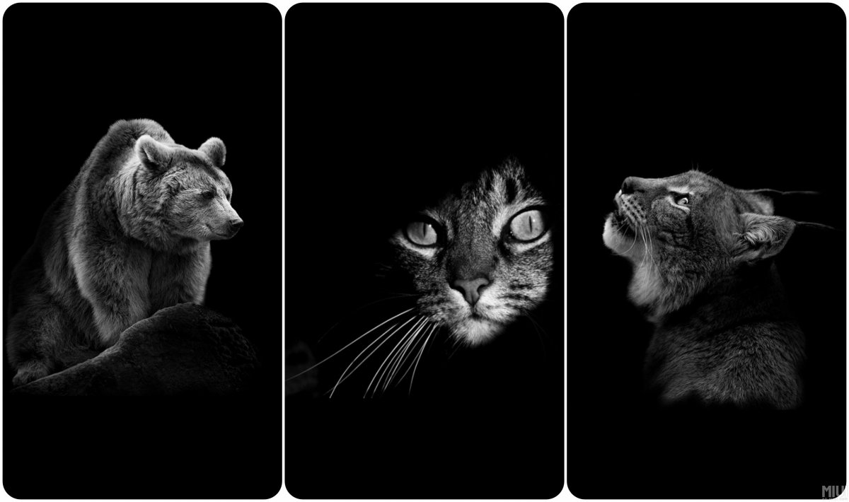 Красные обои на андроид