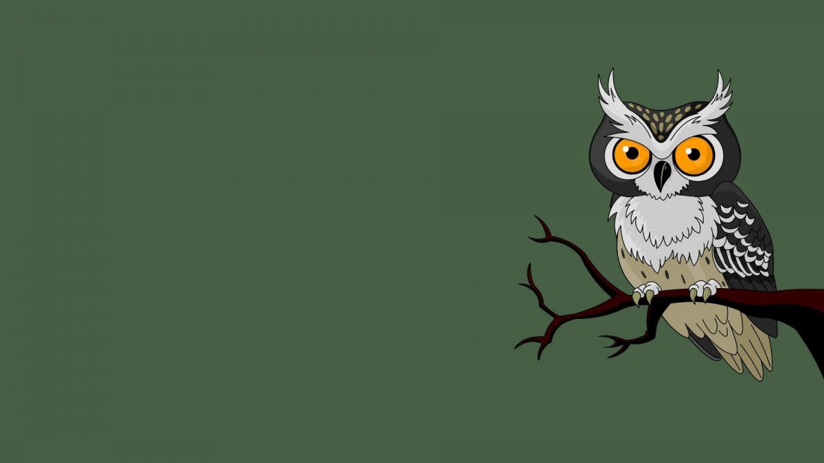 Фон для рабочего стола Сова