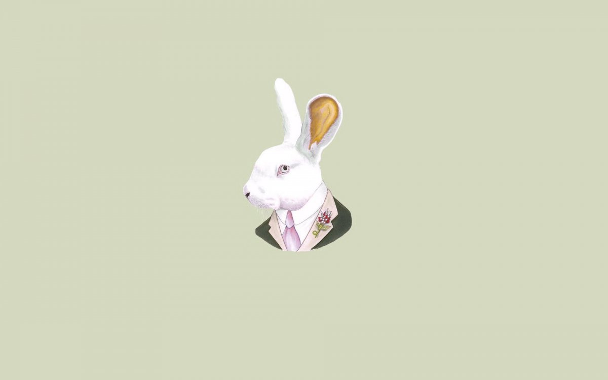 Обои на телефон заяц