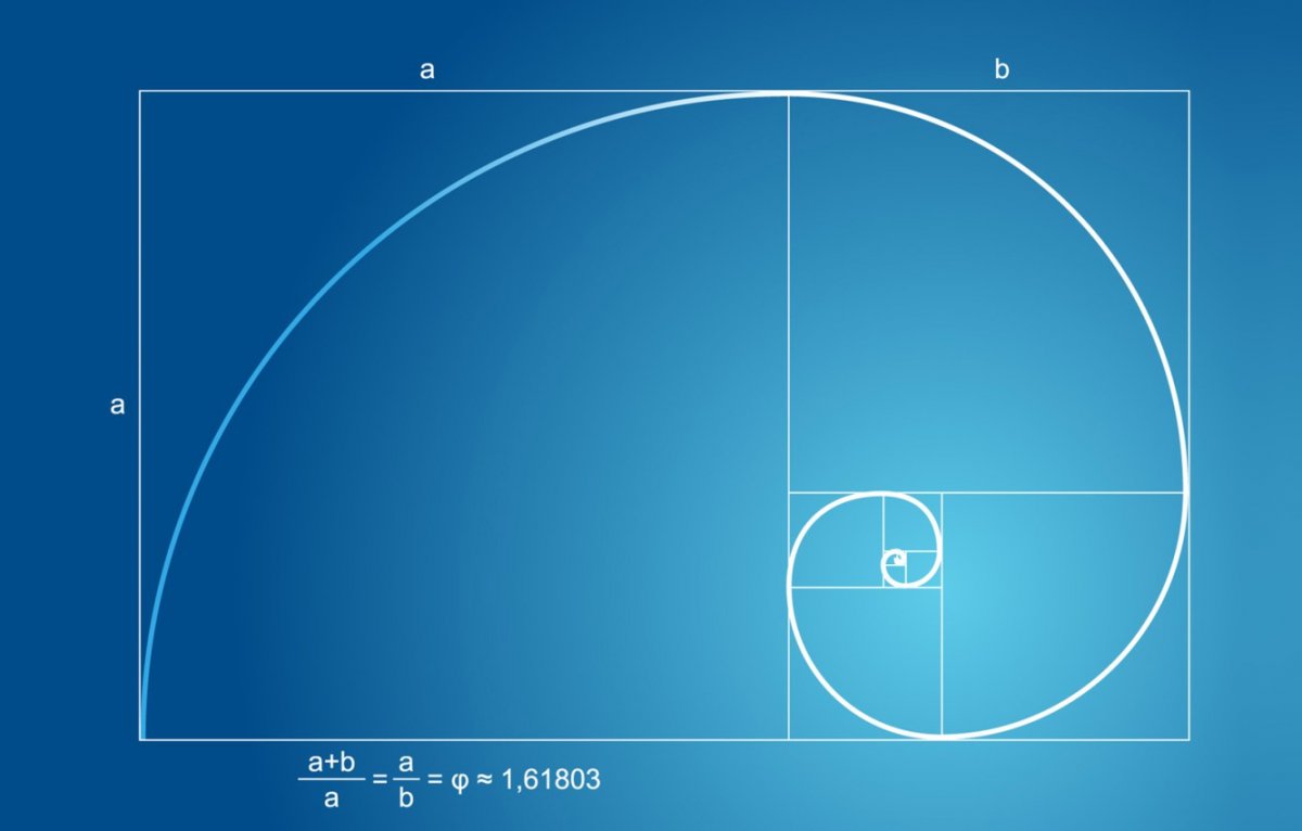 Золотое сечение Ракушка