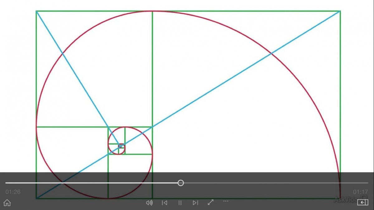 Золотое сечение