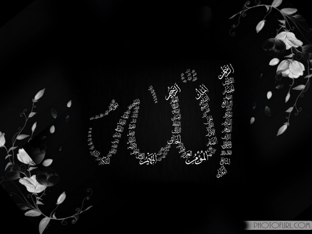 Духи Моника Белуччи s7