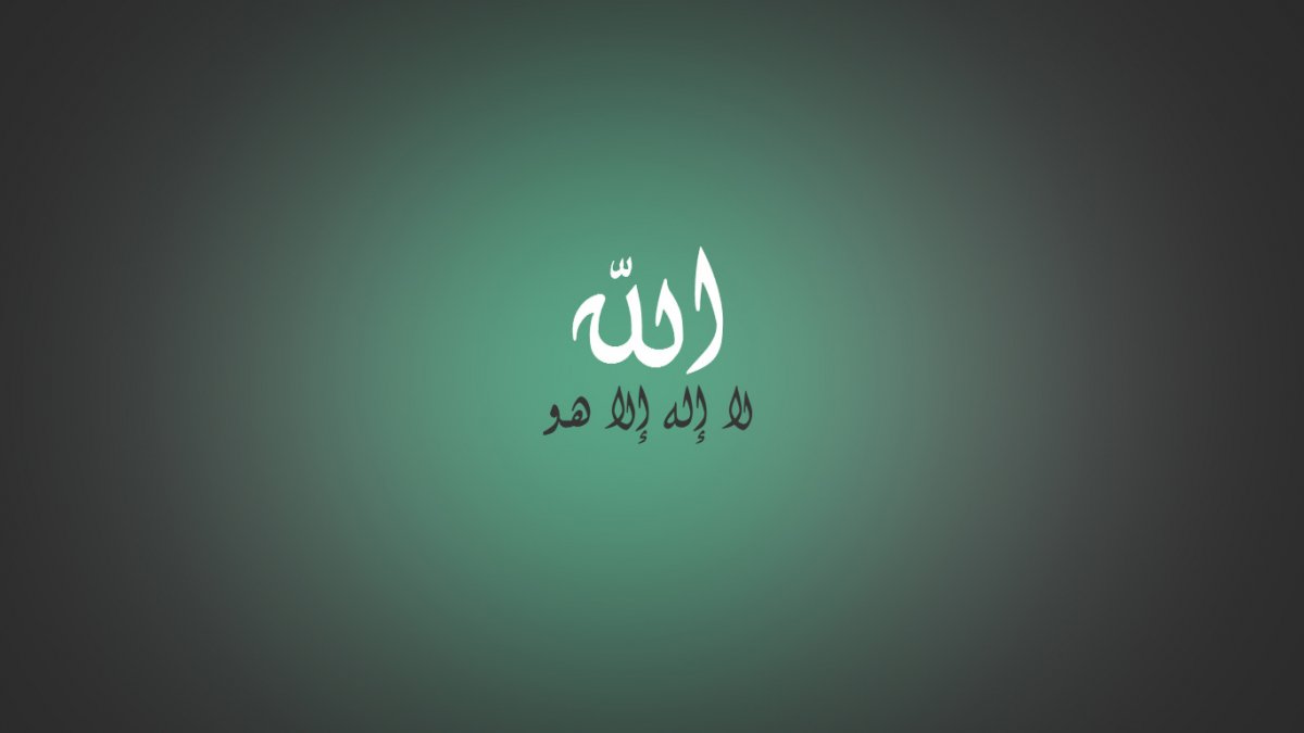 Турчанки в никабе