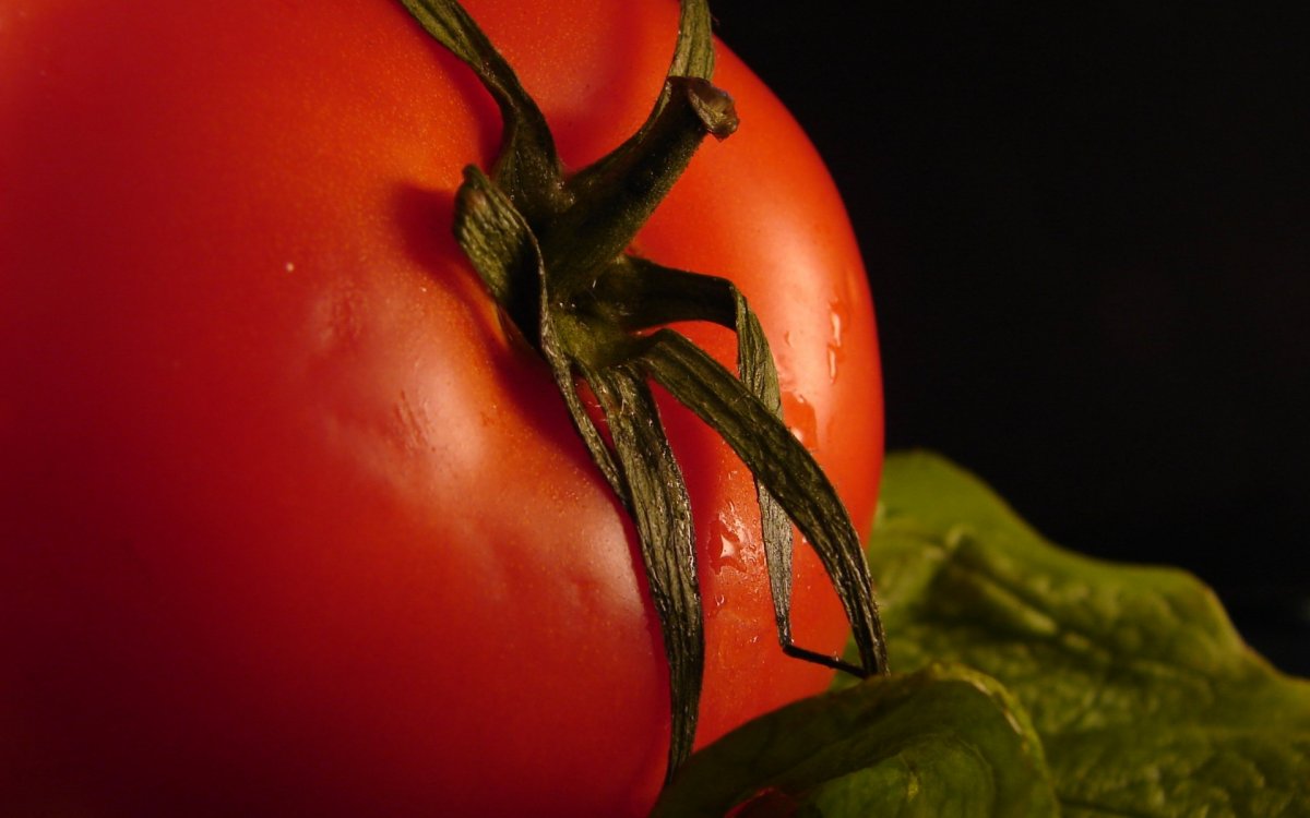 Сочный помидор