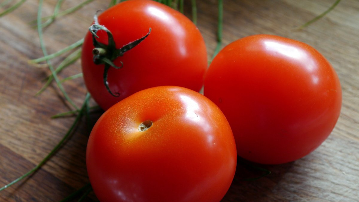 Sebero Tomato (томат)