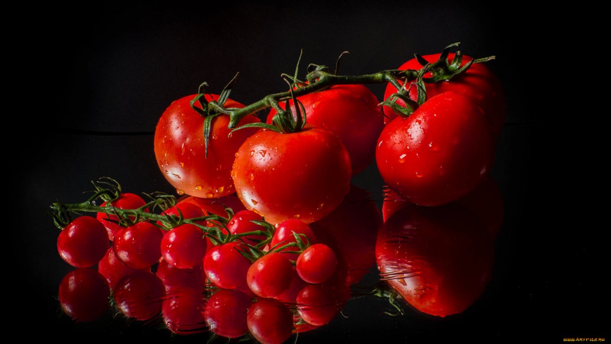 Помидор Full HD