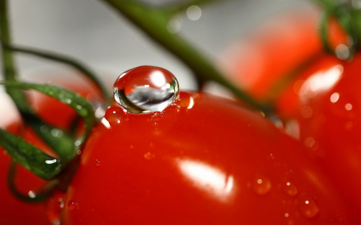 Помидор капли