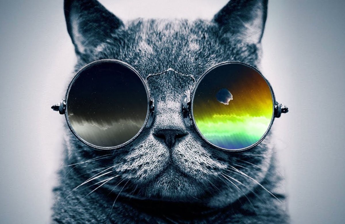 Надпись ватсап