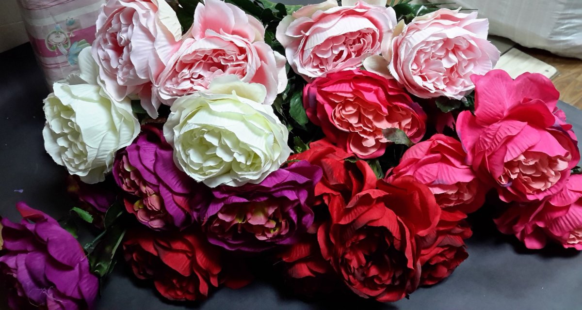 Пионы на рабочий стол на весь экран