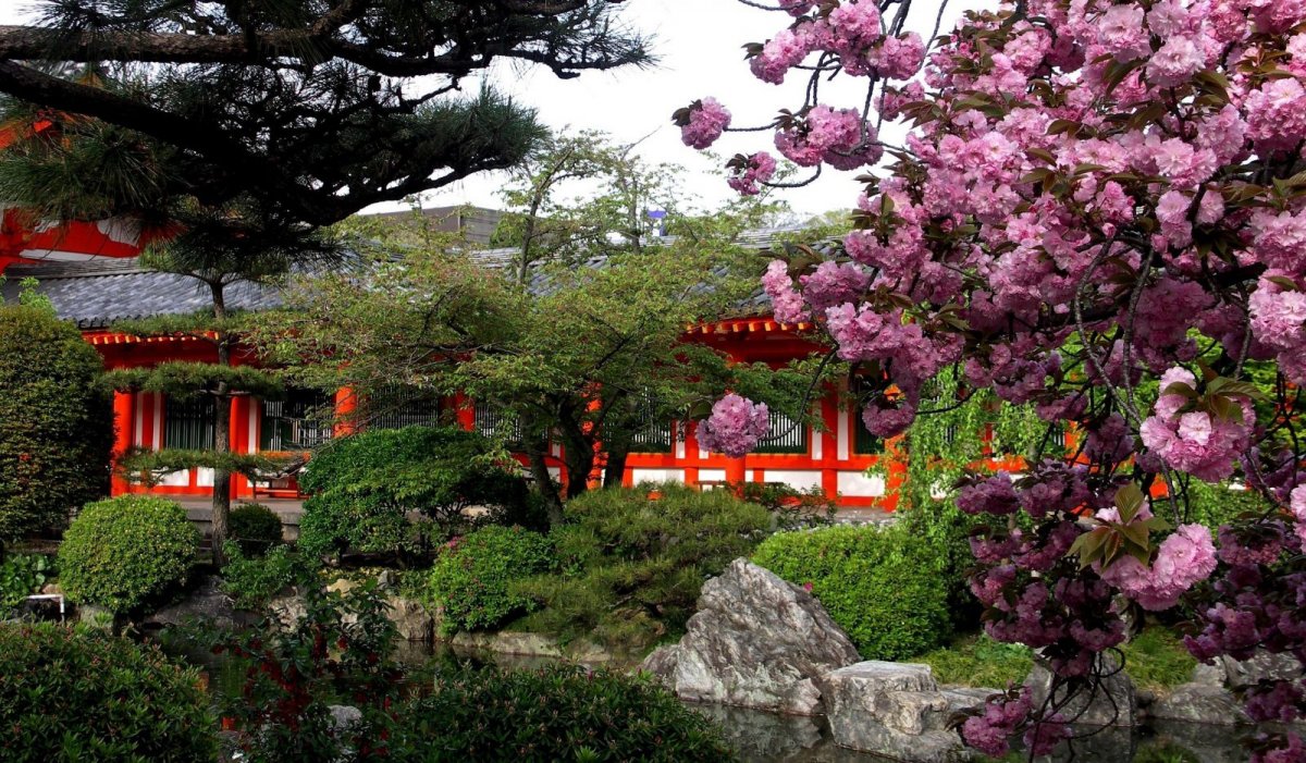 Сад Сакуры в Японии