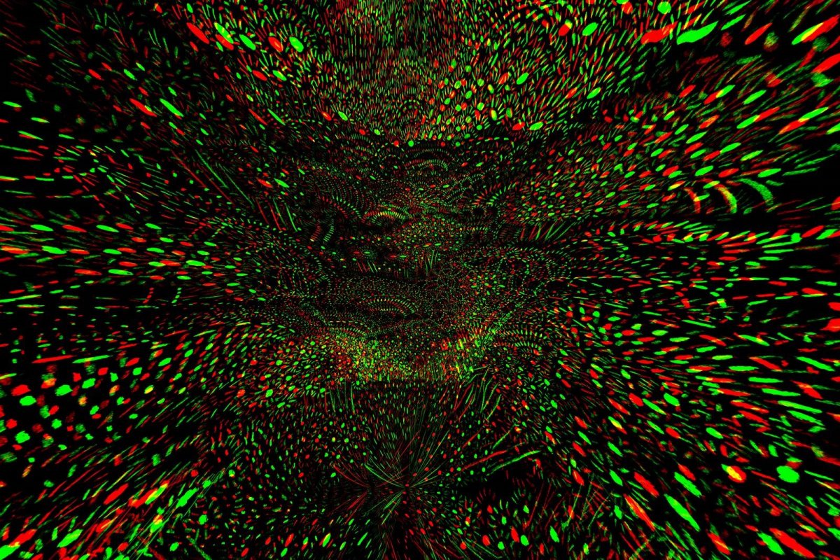 Оптические иллюзии 3d