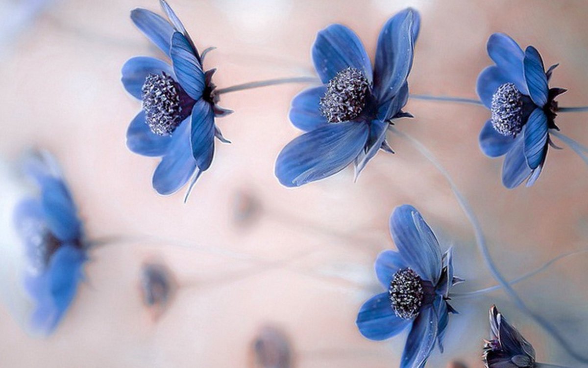 Обои на рабочий стол серо синие