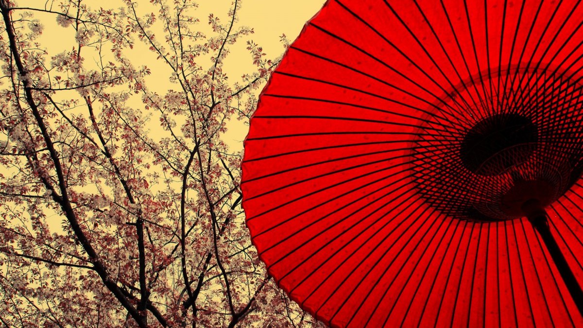 Арт в японском стиле киберпанк