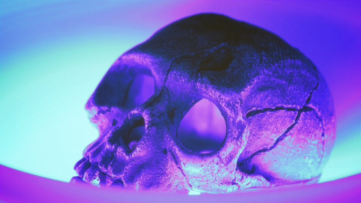 Череп на черном фоне