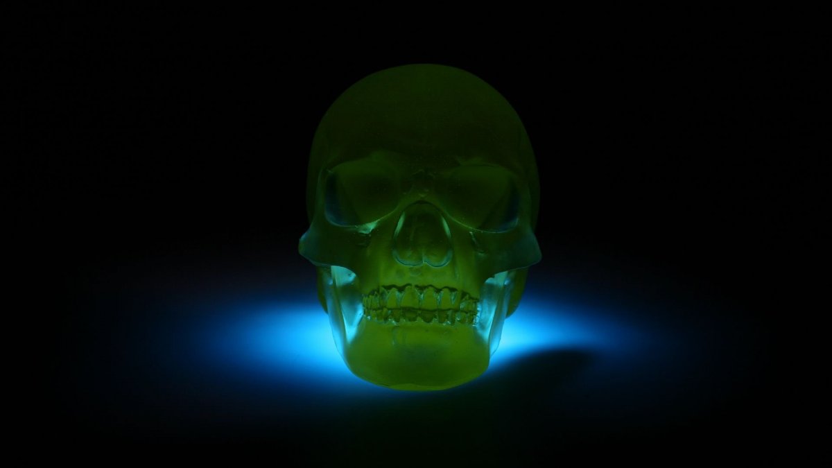 Неоновый череп