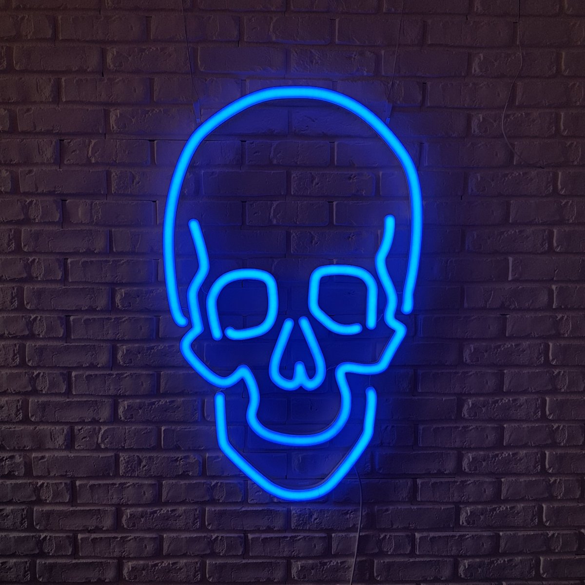 Череп на синем фоне