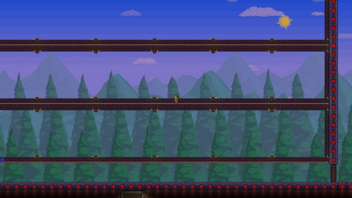 Хойк террария