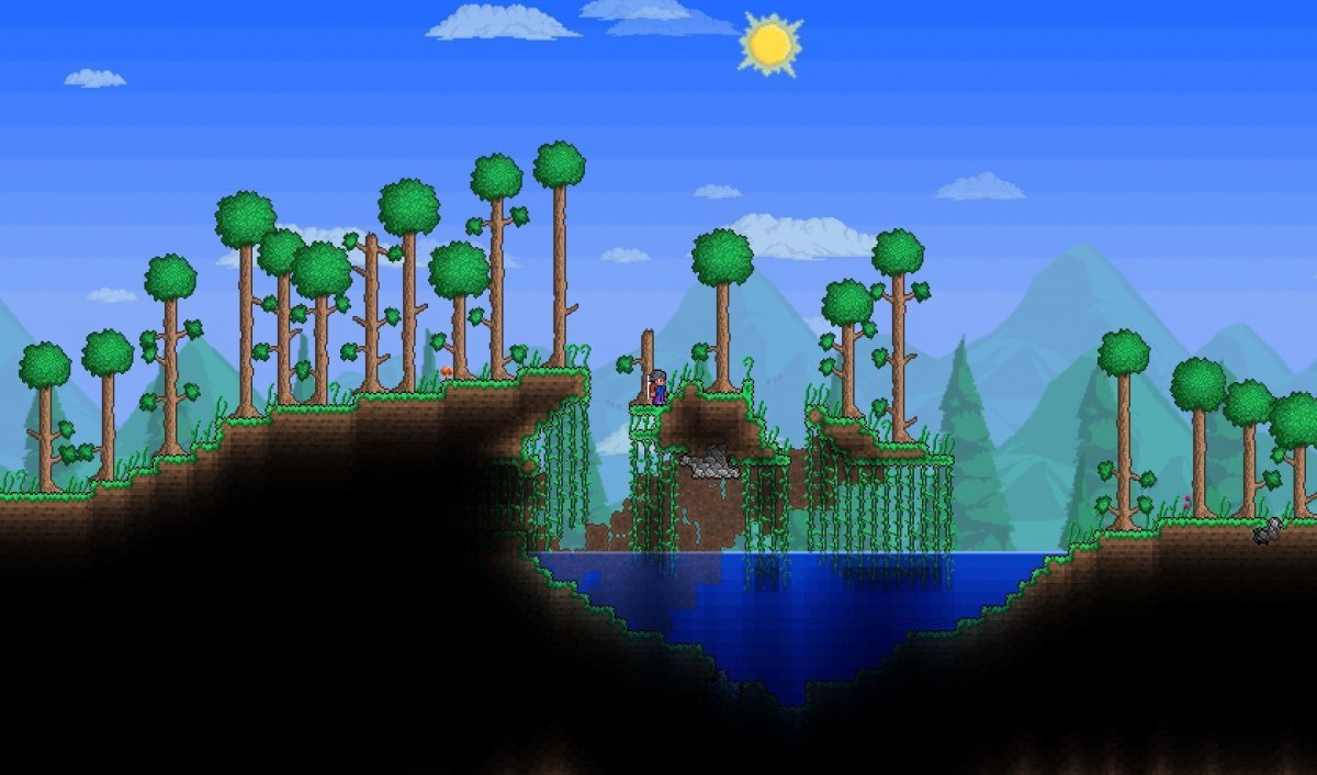 Лесной биом террария