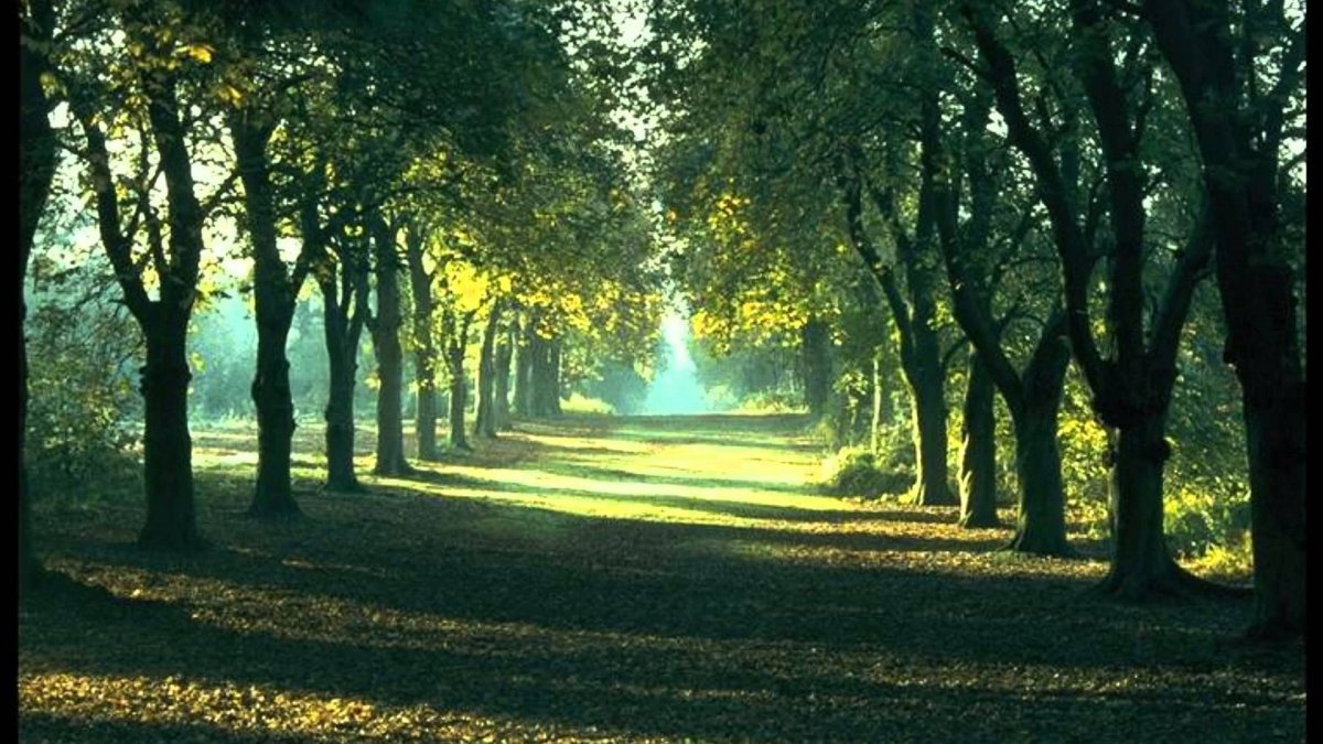 Глаз природы