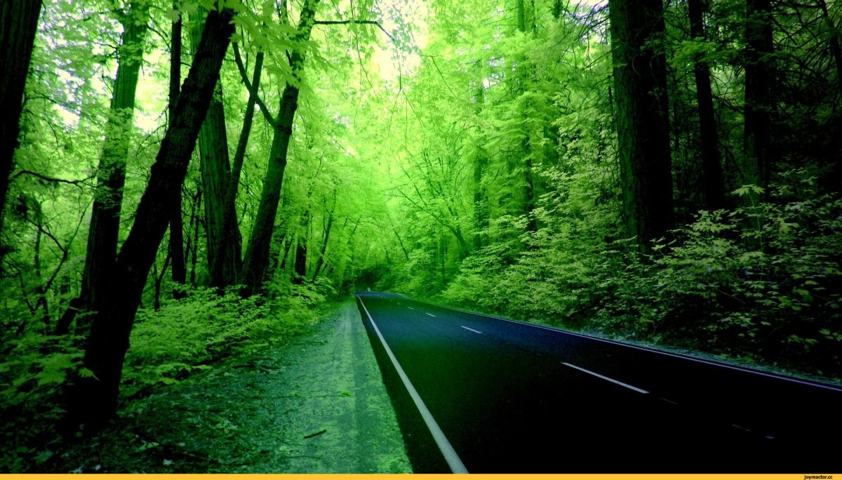 Лучшие HD обои на рабочий стол