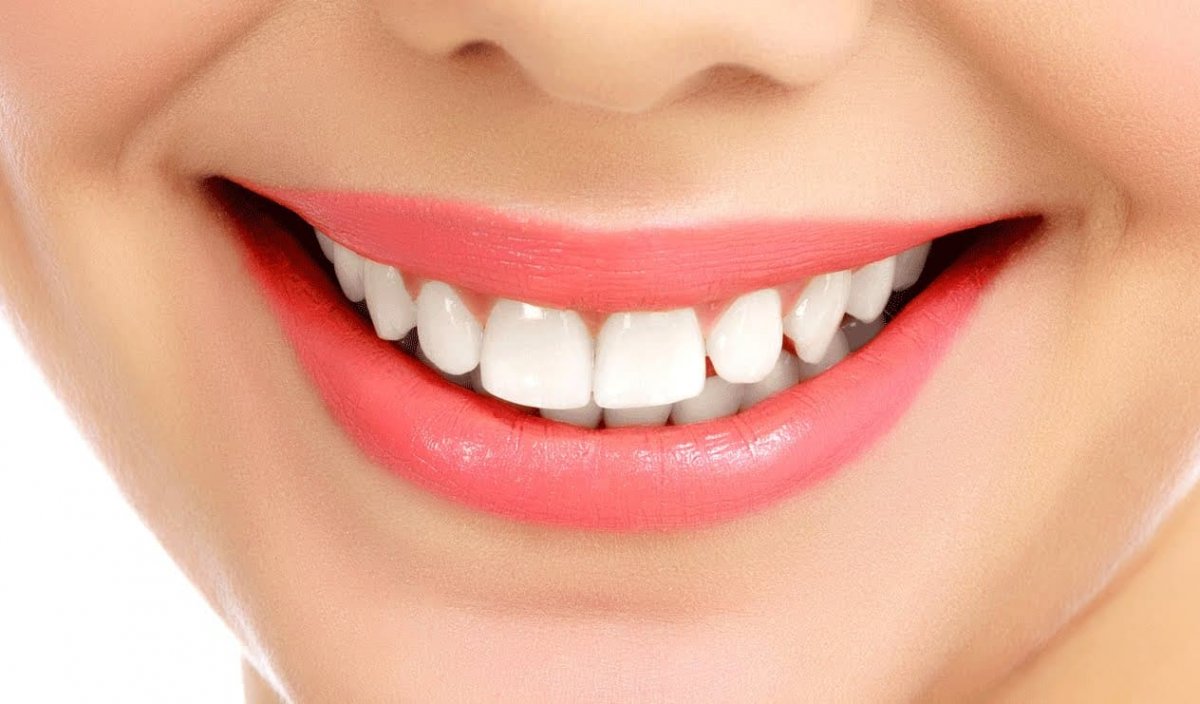 Фотообои смешные