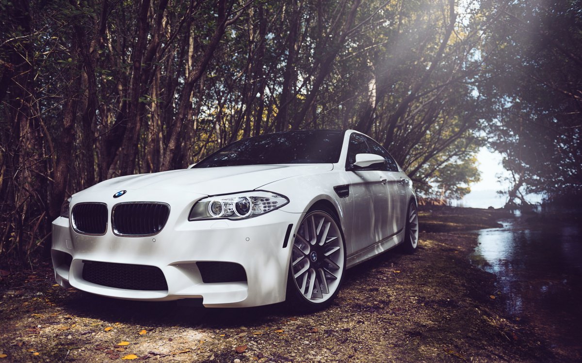 BMW f10 m5 White auto