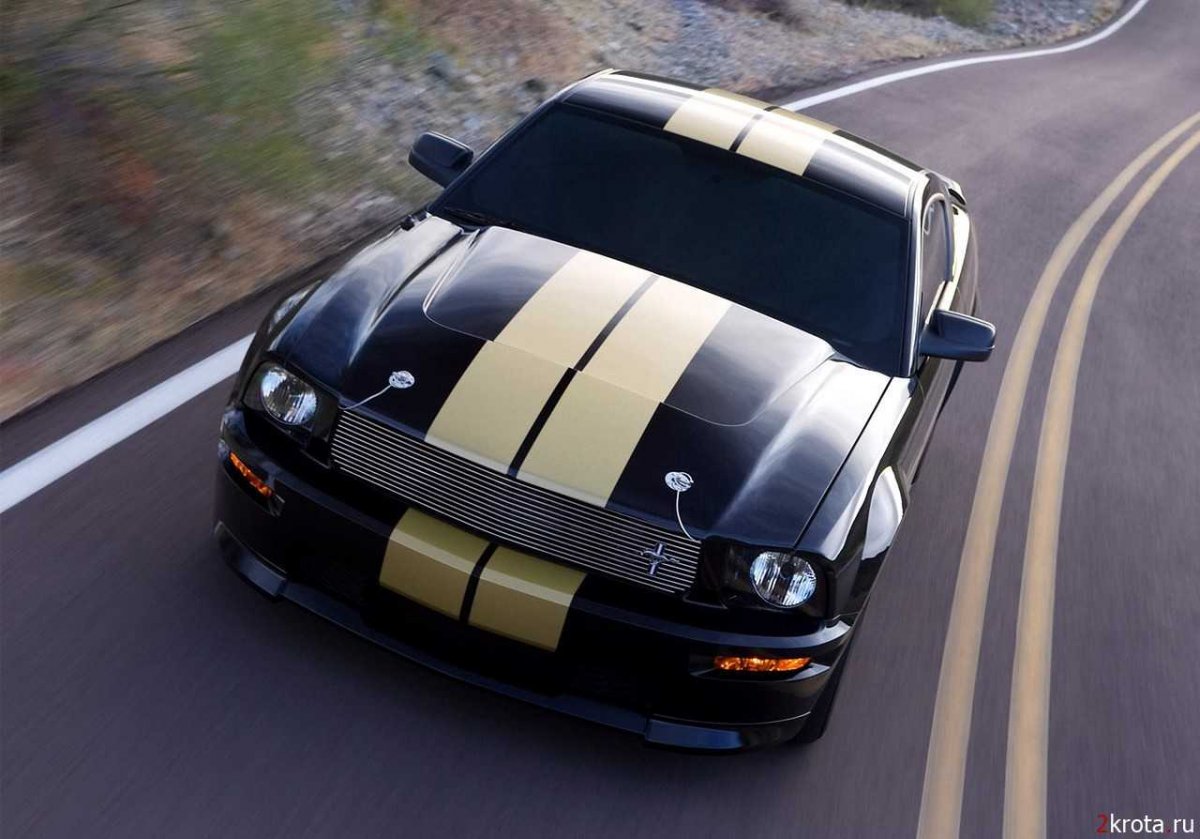 Ford Mustang Shelby gt 2006