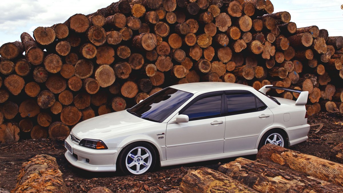 Honda Accord Torneo белый лето