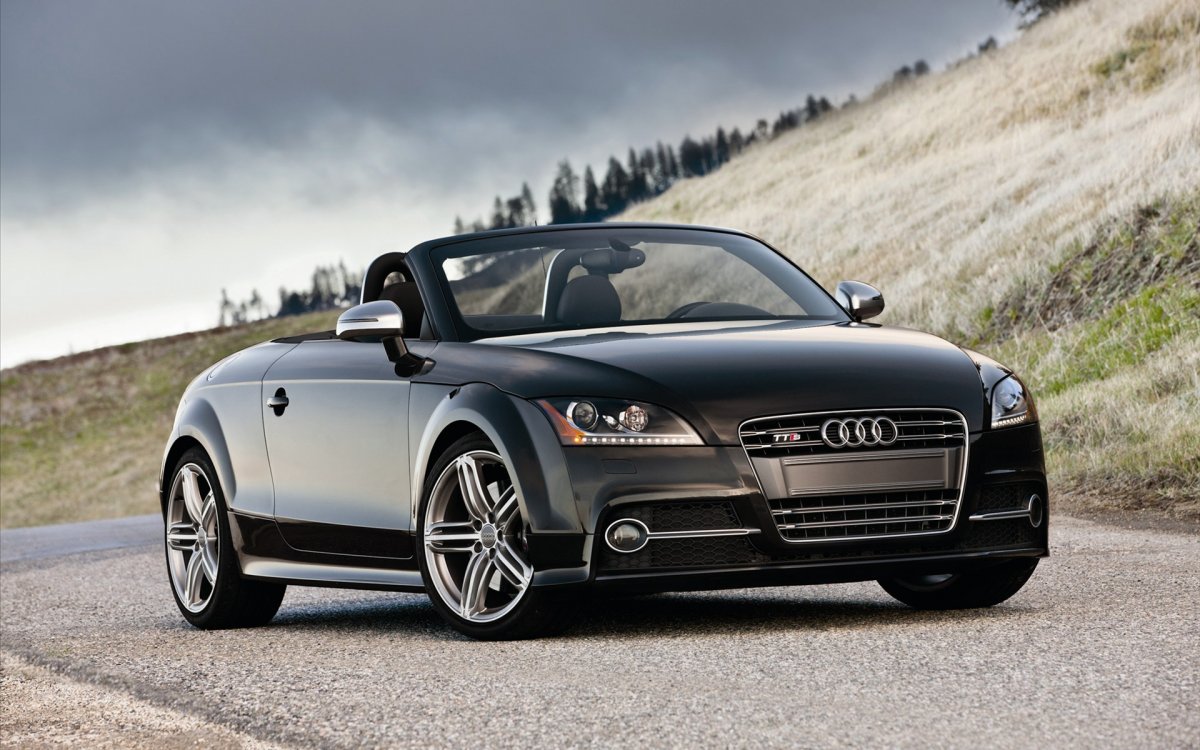 Bambi автомобиль Audi TTS Roadster ZP 8006eblr