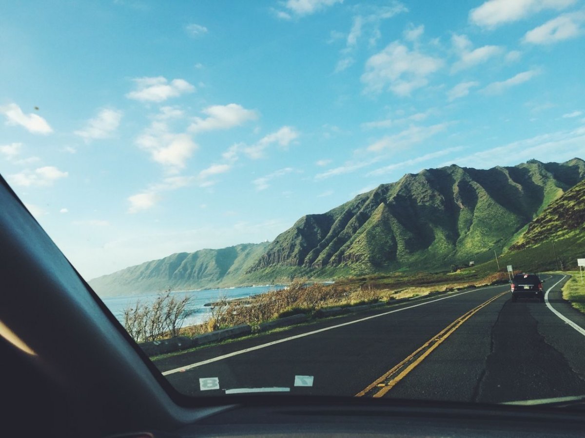 Красивый вид из окна машины