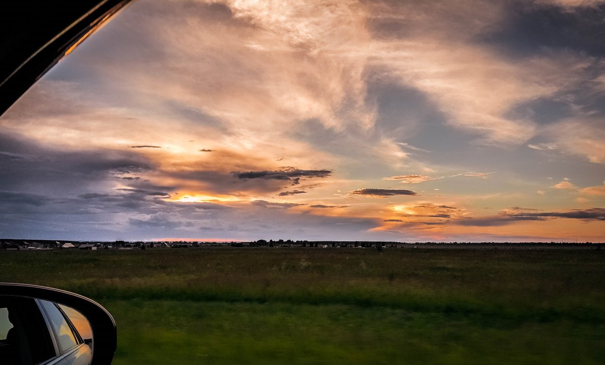 Дорога из окна автомобиля