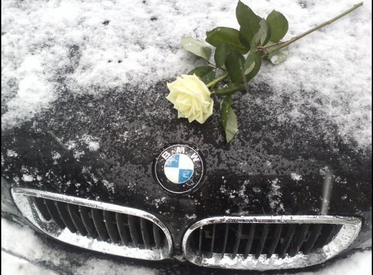 Розы на капоте BMW