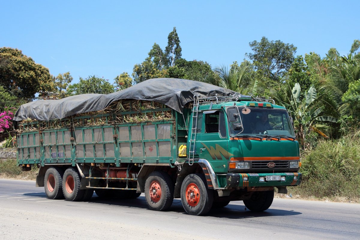 Индийский грузовик Ашок