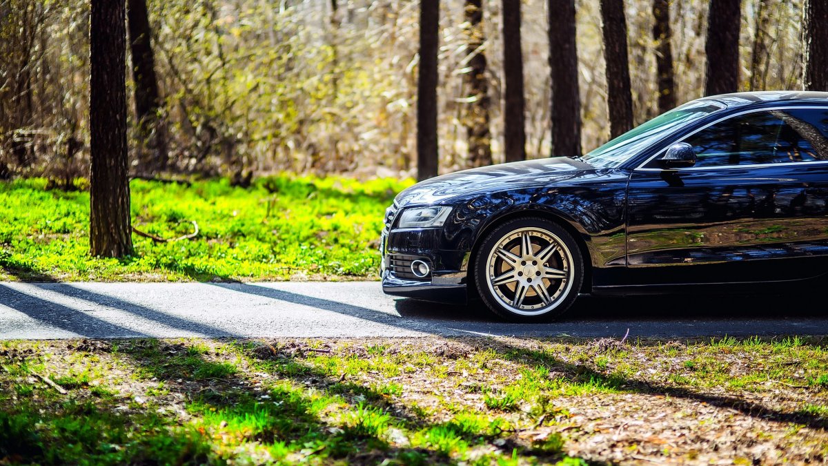 Ауди отражение в воде