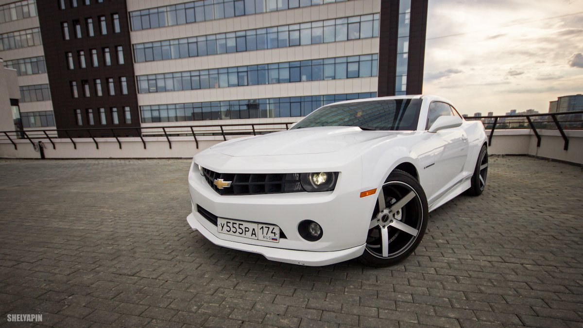 Skoda Octavia a8 с черной крышей