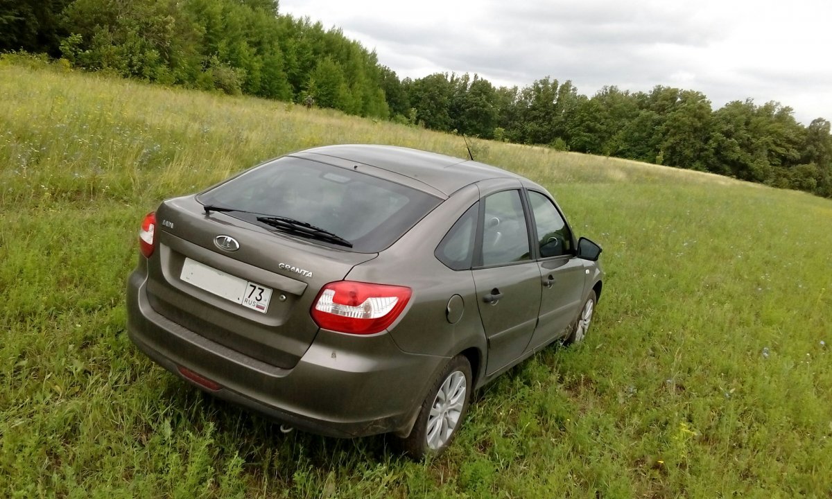 Гранта кориандр комфорт